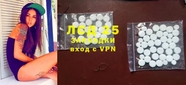 гидра Богданович