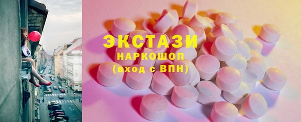 гидра Богданович