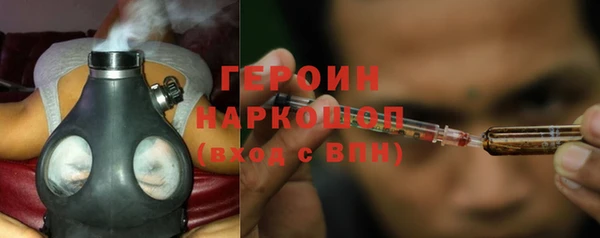 гидра Богданович