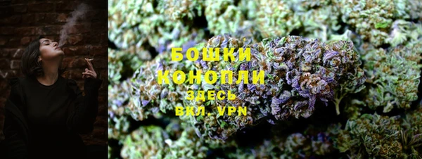 PSILOCYBIN Богородицк