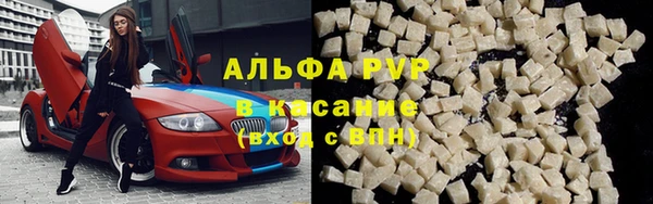 гидра Богданович