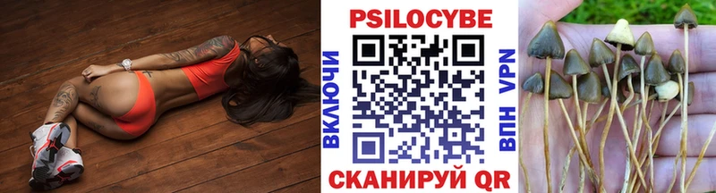 Галлюциногенные грибы GOLDEN TEACHER  продажа наркотиков  Дубовка 